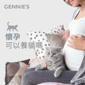 懷孕可以養貓嗎-懷孕初期養貓