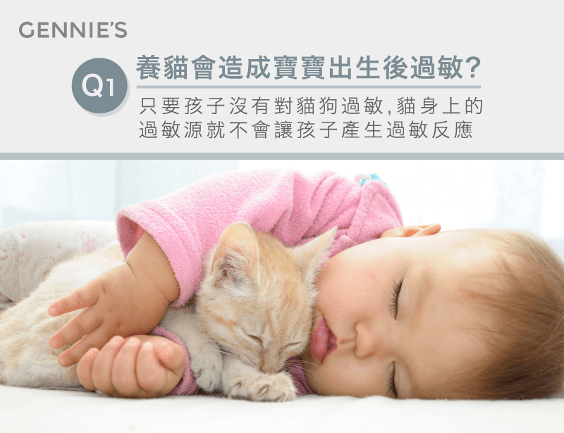 養貓寶寶會過敏嗎-懷孕可以養貓嗎