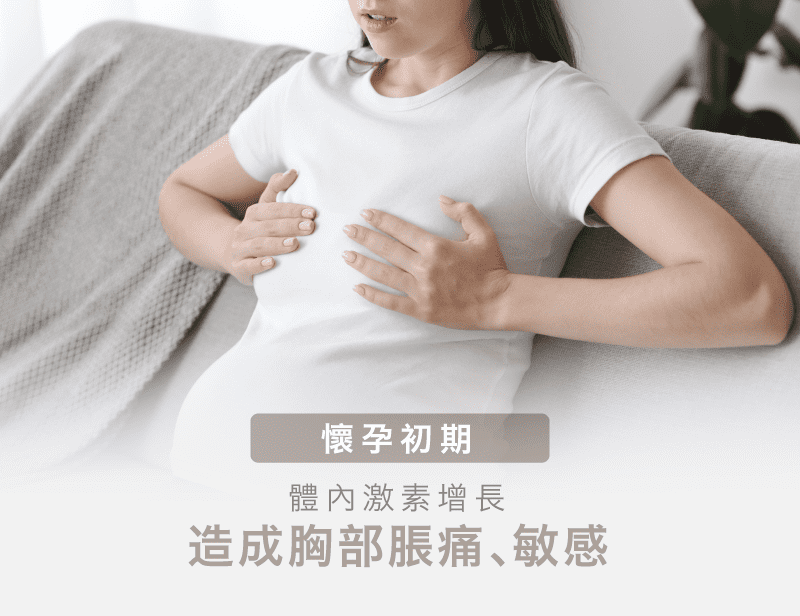 懷孕初期胸部脹痛-孕期胸部變化