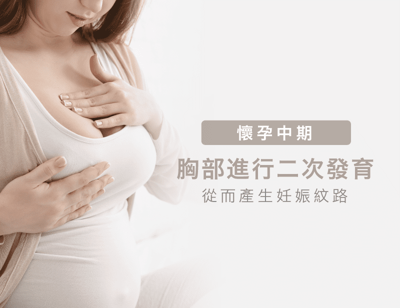 懷孕中期可能出現妊娠紋-孕期胸部變化
