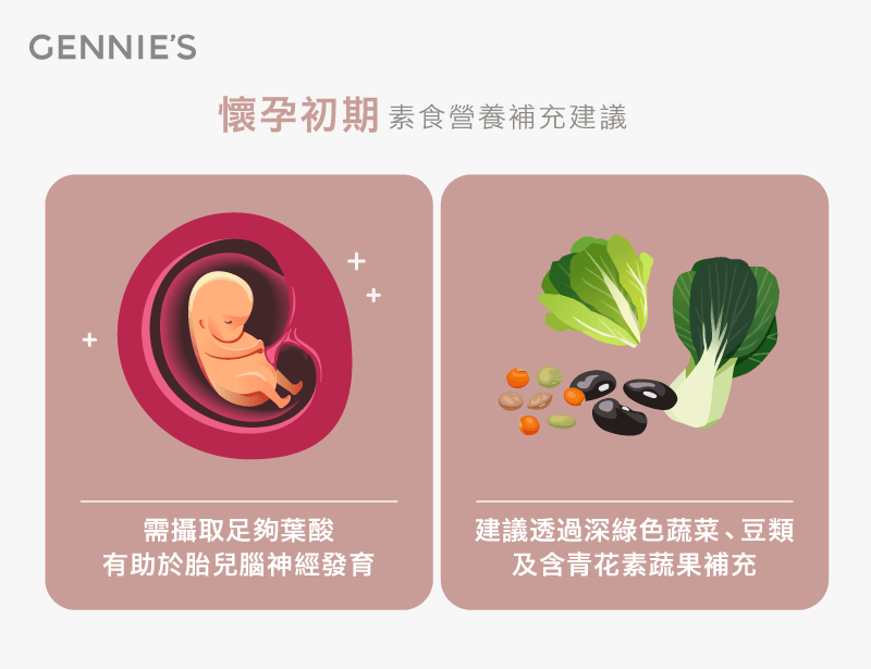 懷孕初期營養建議-吃素 孕婦 營養