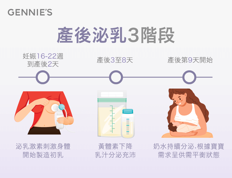 產後泌乳3個階段-哺乳內衣推薦
