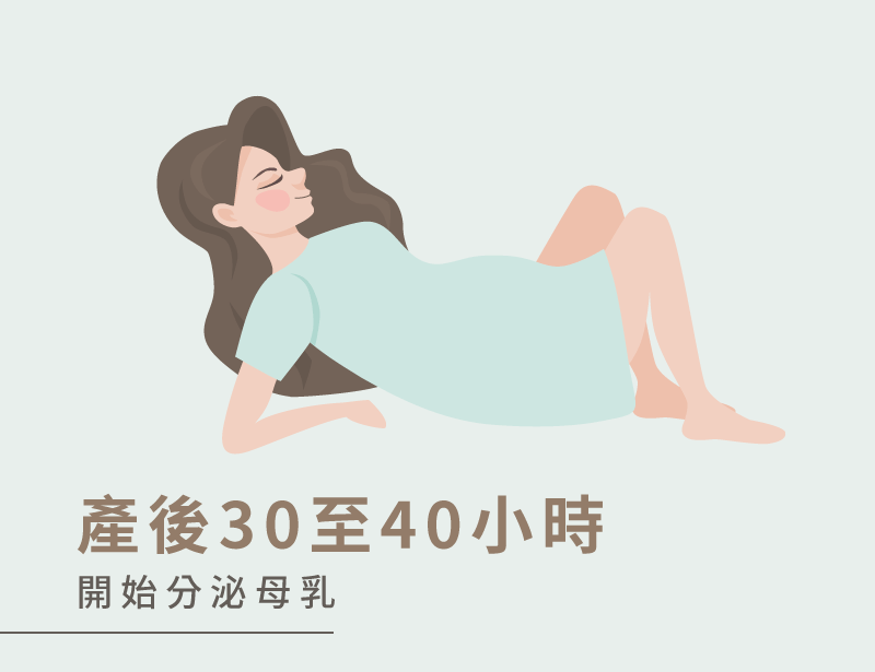 產後30至40小時-產後多久有母乳