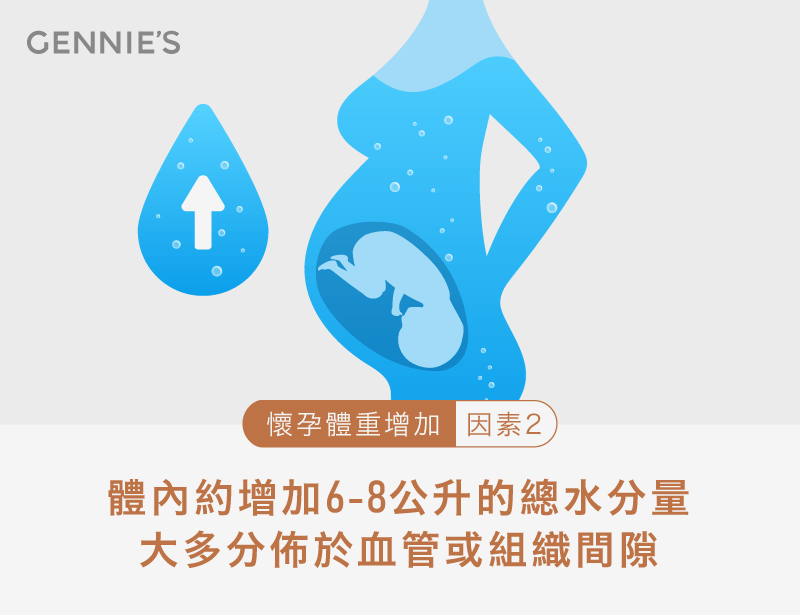 水分增加-懷孕體重比例