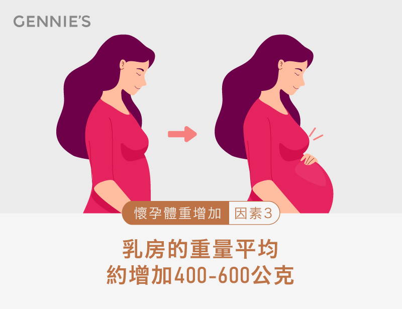 乳房重量增加-懷孕體重增加原因