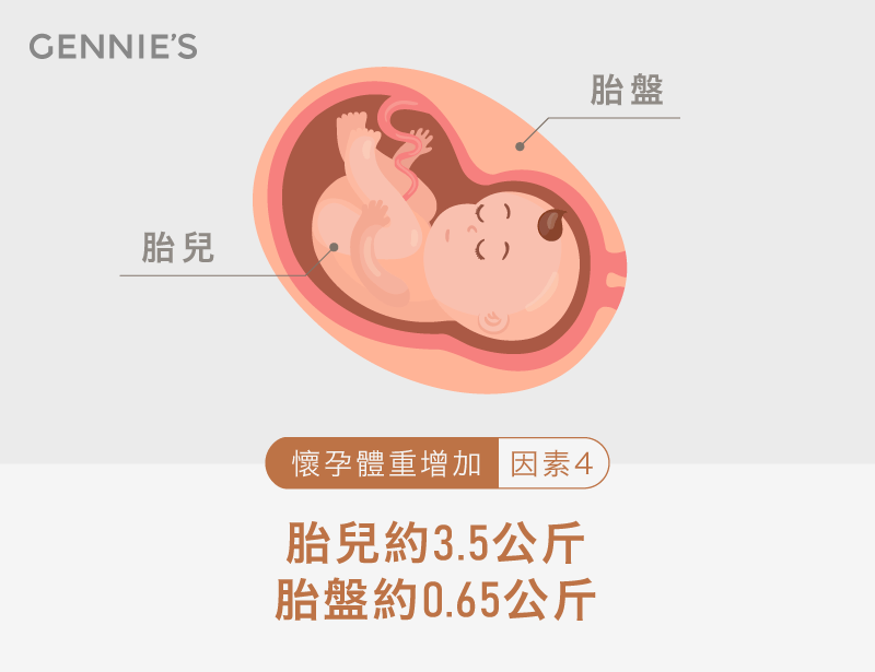 胎兒胎盤重量-懷孕體重比例